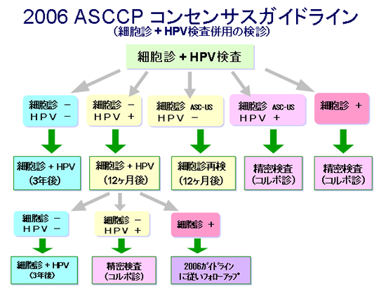 2006 ASCCP コンセンサスガイドライン